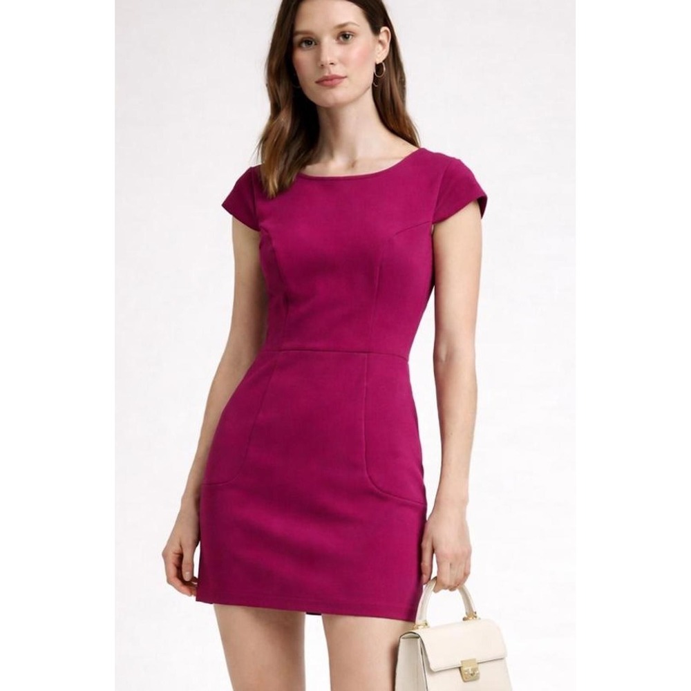 Adrianna Papell Sheath Cap Sleeve Magenta Pink Size 2 Mini Dress